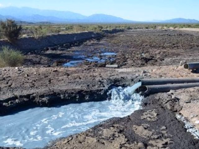 ¿Cómo afectan los abonos nitrogenados a la contaminación ambiental?