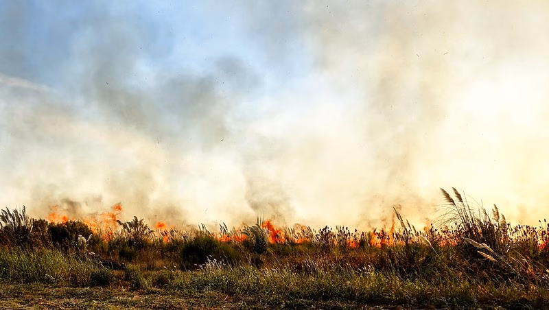 ¿Cómo se puede aprovechar el escenario actual en la cuenca del Plata?