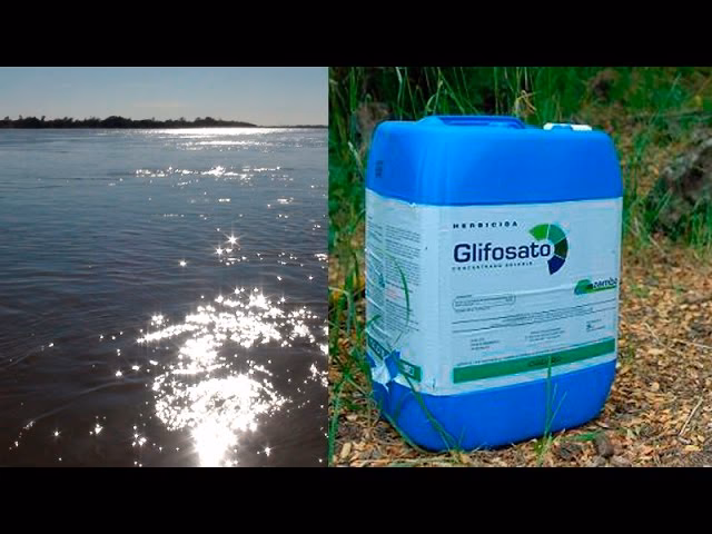 ¿Dónde se encuentra la cuenca del río Paraná?