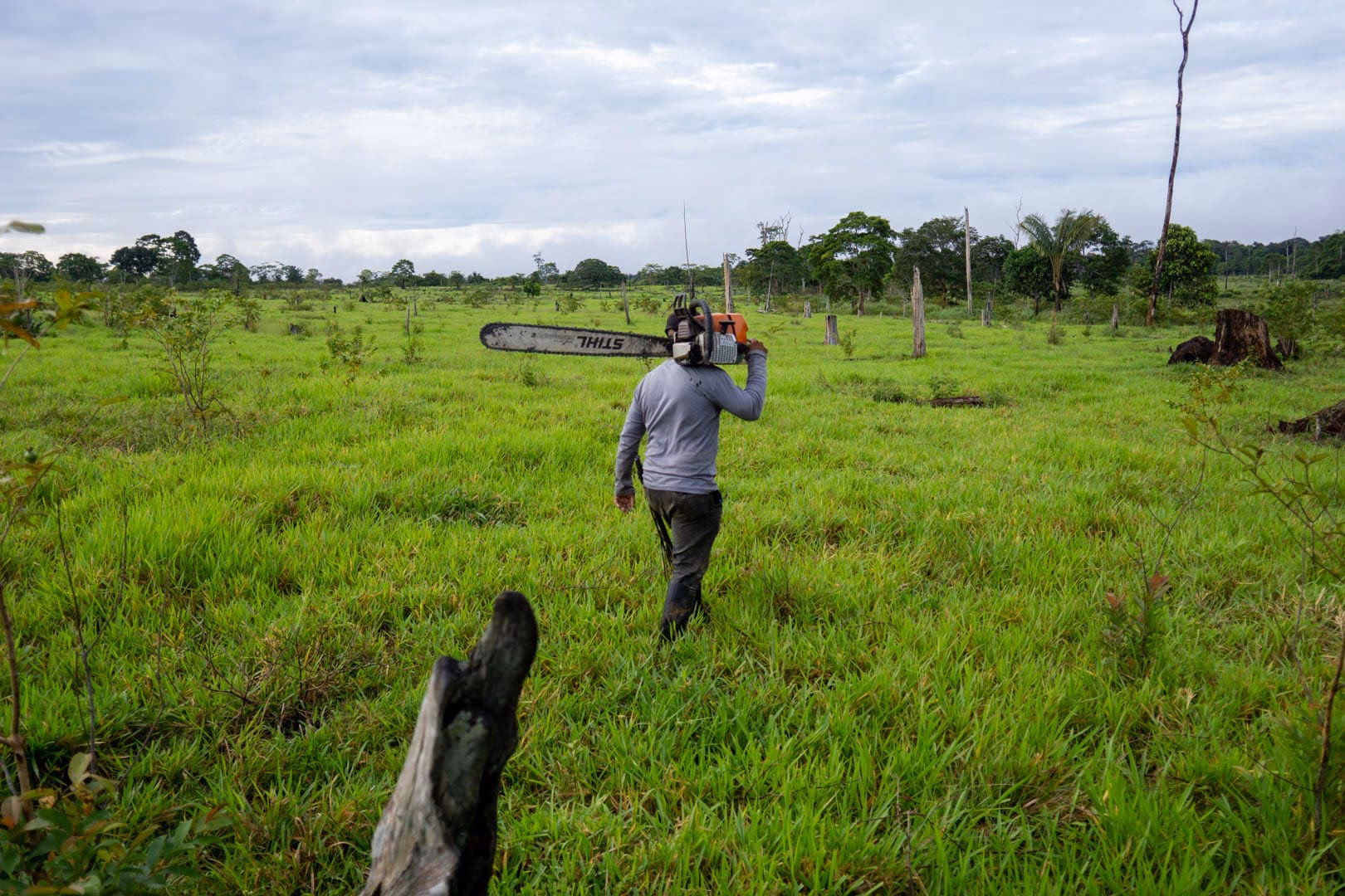 ¿Cuál es el impacto social y cultural de la deforestación?
