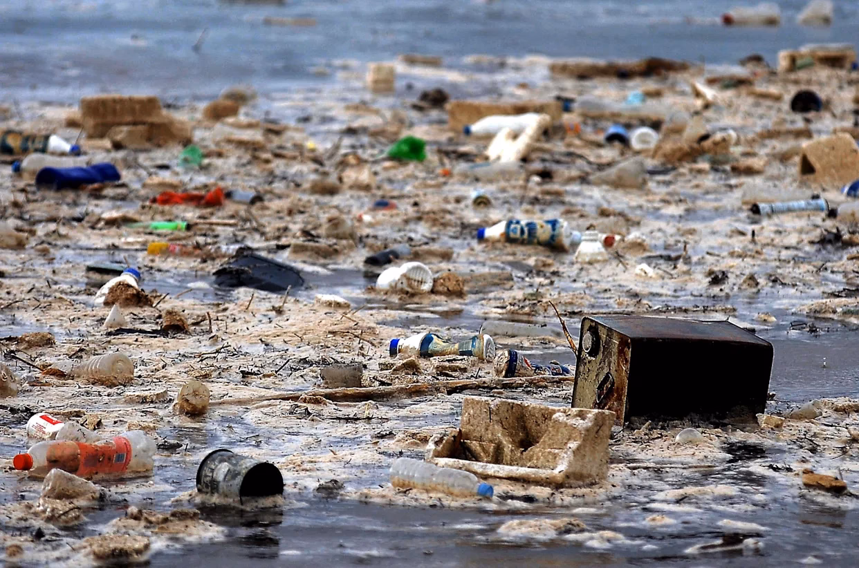 ¿Cuál es el grado de contaminación del agua?