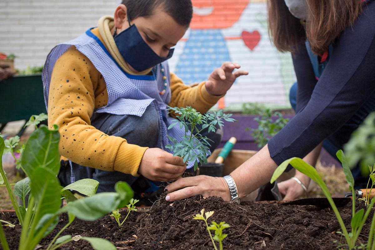 ¿Qué es la Ley de Educación Nacional?