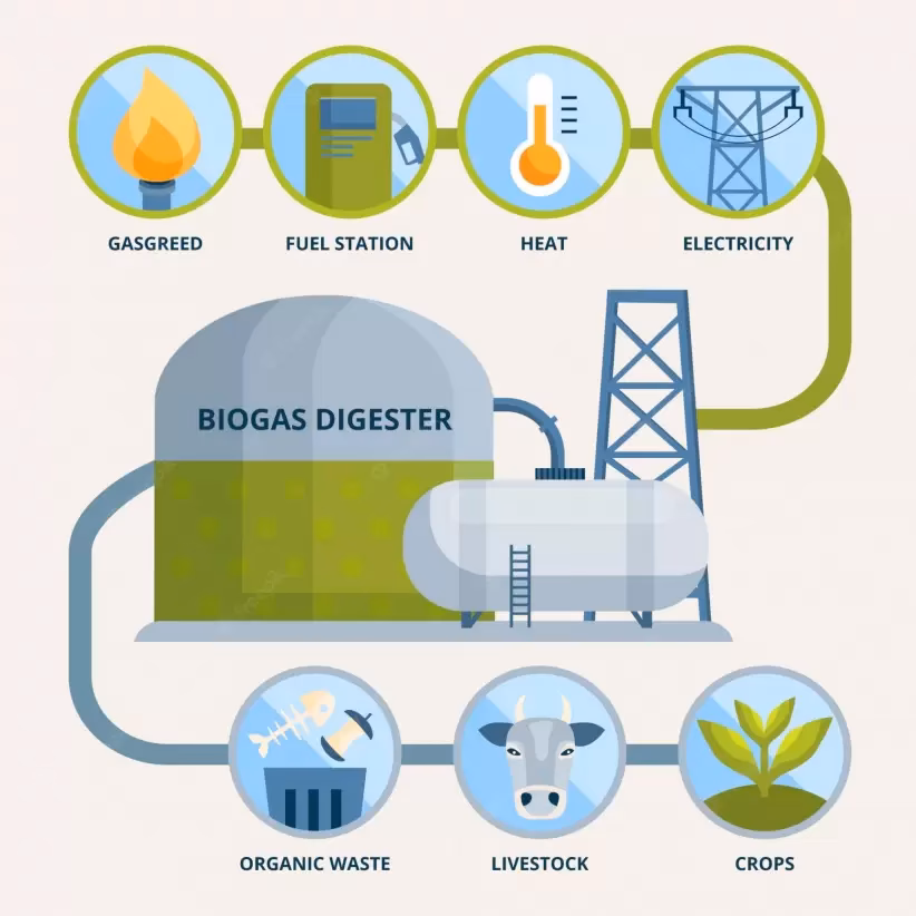 ¿Cómo se produce el biogás?