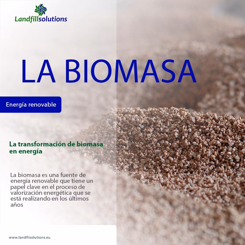 ¿Qué tan rentable es la biomasa?