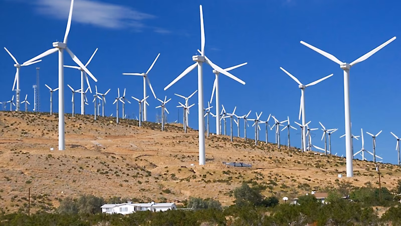 ¿Cómo afecta la energía eólica a la avifauna?