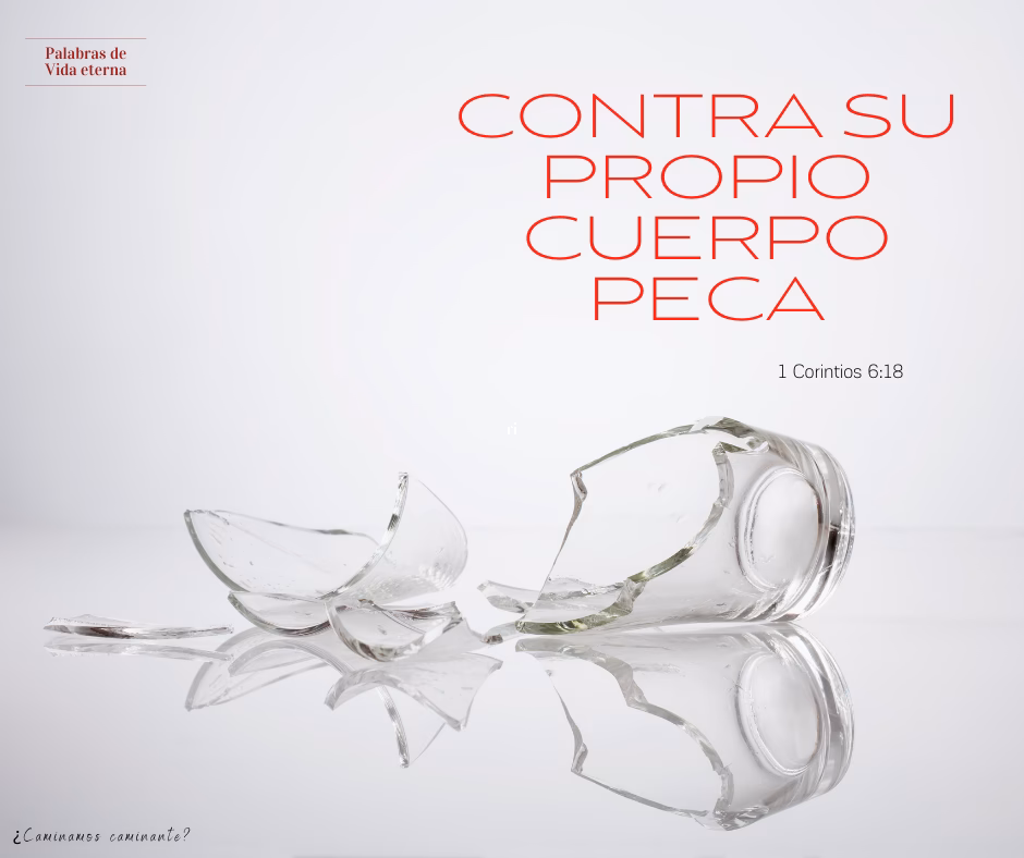 ¿Cuáles son las consecuencias de la fornicación?