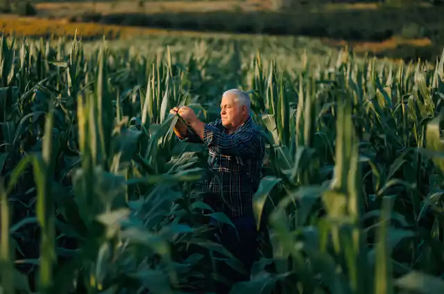 ¿Cómo lograr una transición hacia un sistema agrícola más sostenible?