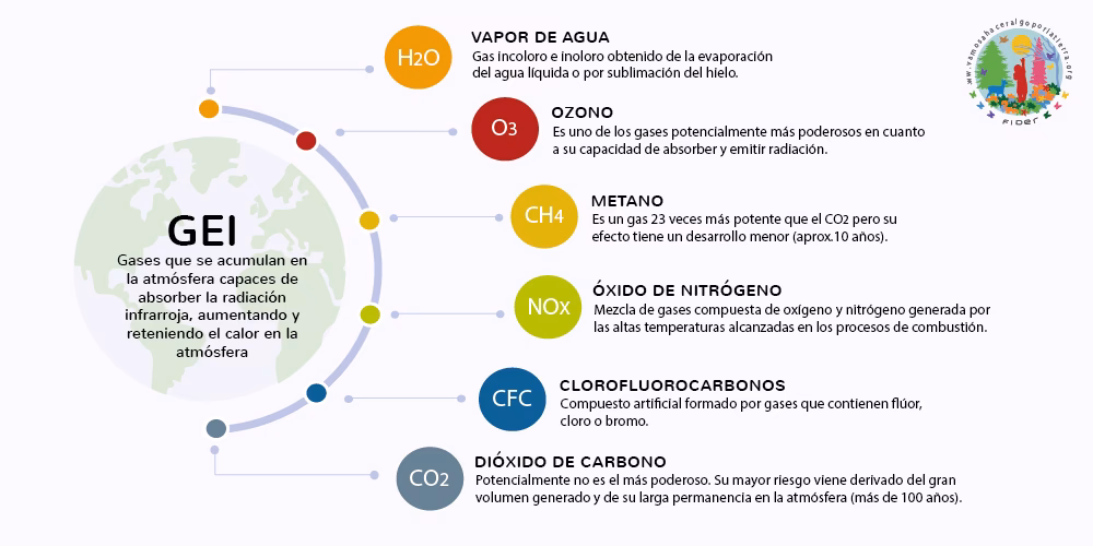 ¿Cuál es el impacto de la huella de carbono en el medio ambiente?