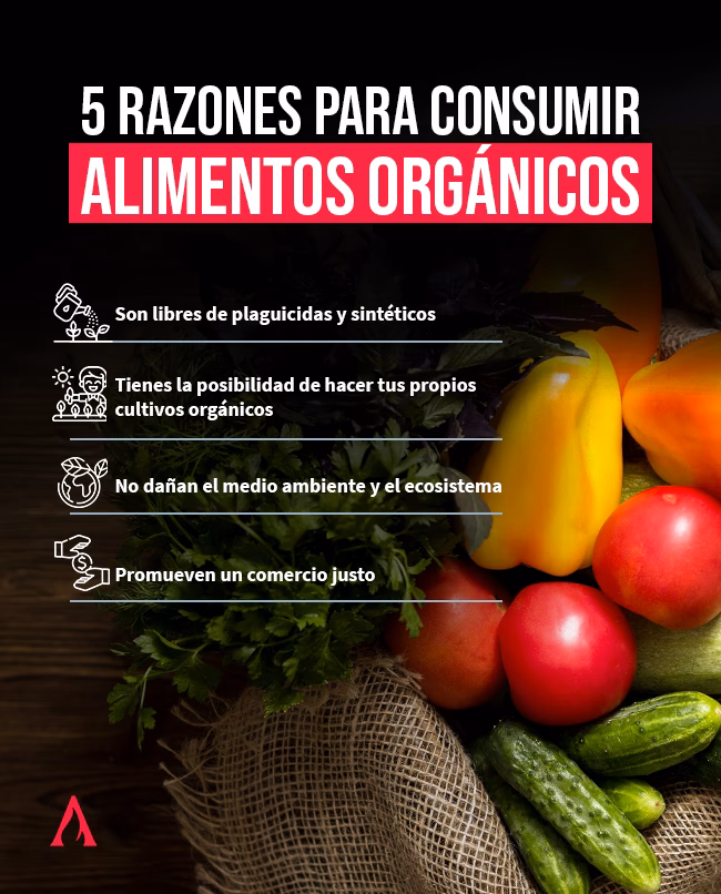 ¿Cuáles son los beneficios de consumir ecológico?