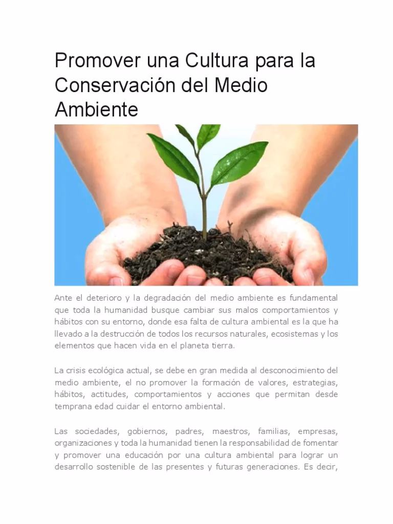 ¿Por qué es importante promover una cultura sostenible y el cuidado del Medio Ambiente en la comunidad?