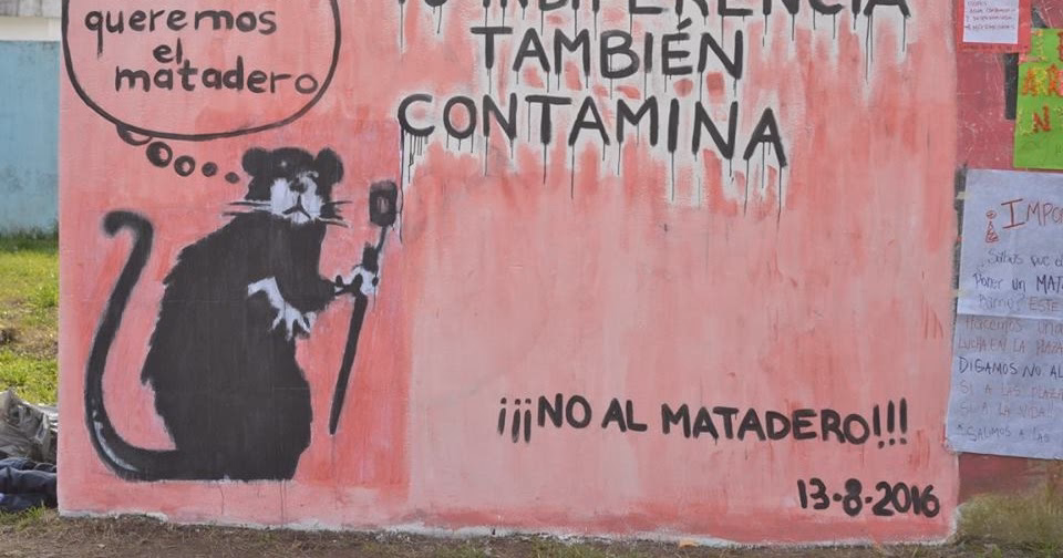 ¿Por qué la indiferencia nos afecta tanto?