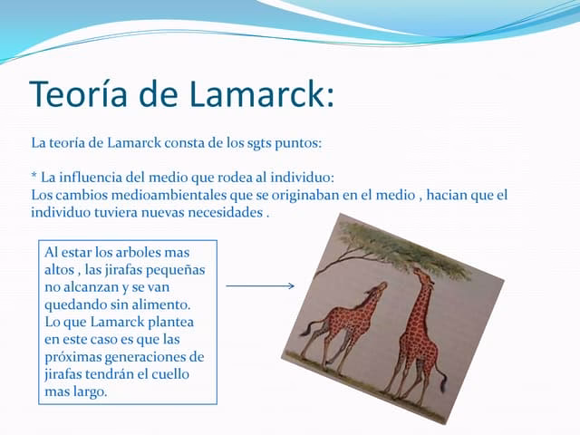¿Cuáles fueron las ideas de Lamarck?
