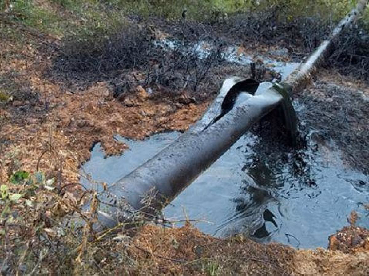 ¿Cómo proteger y conservar el medio ambiente en la industria petrolera?