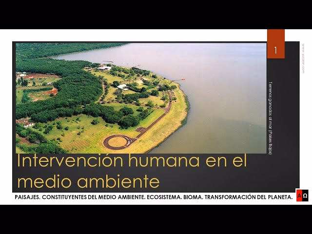 ¿Qué pasa si el hombre intervenga en el medio ambiente?