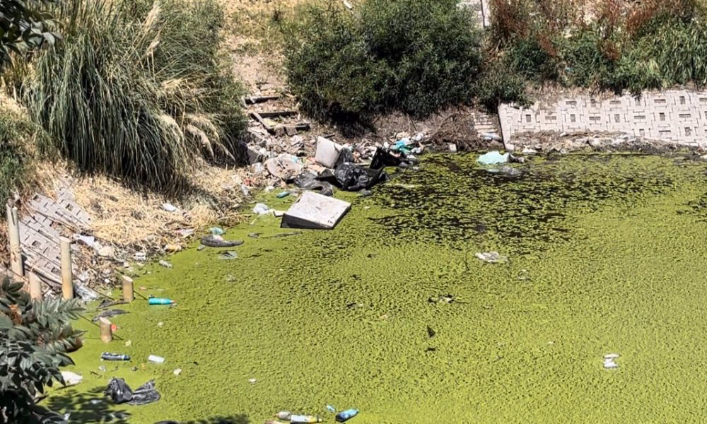 ¿Qué es la laguna Sanfrancisco?