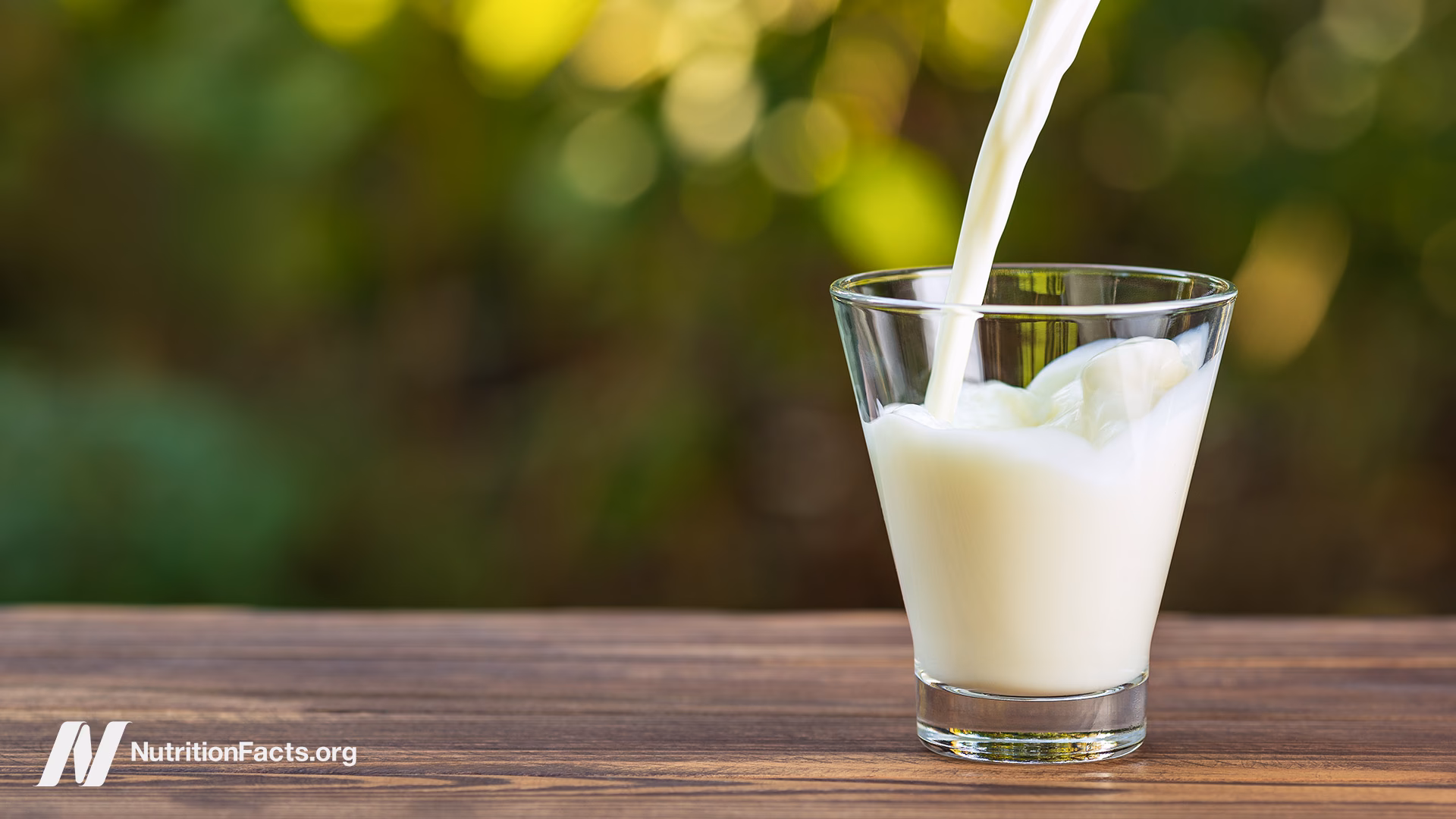 ¿Cuáles son los efectos biológicamente tóxicos de la leche de vaca?