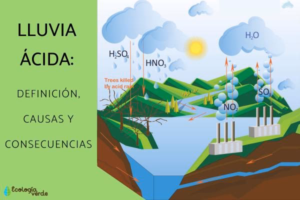 ¿Cómo afecta la lluvia ácida a los ecosistemas?