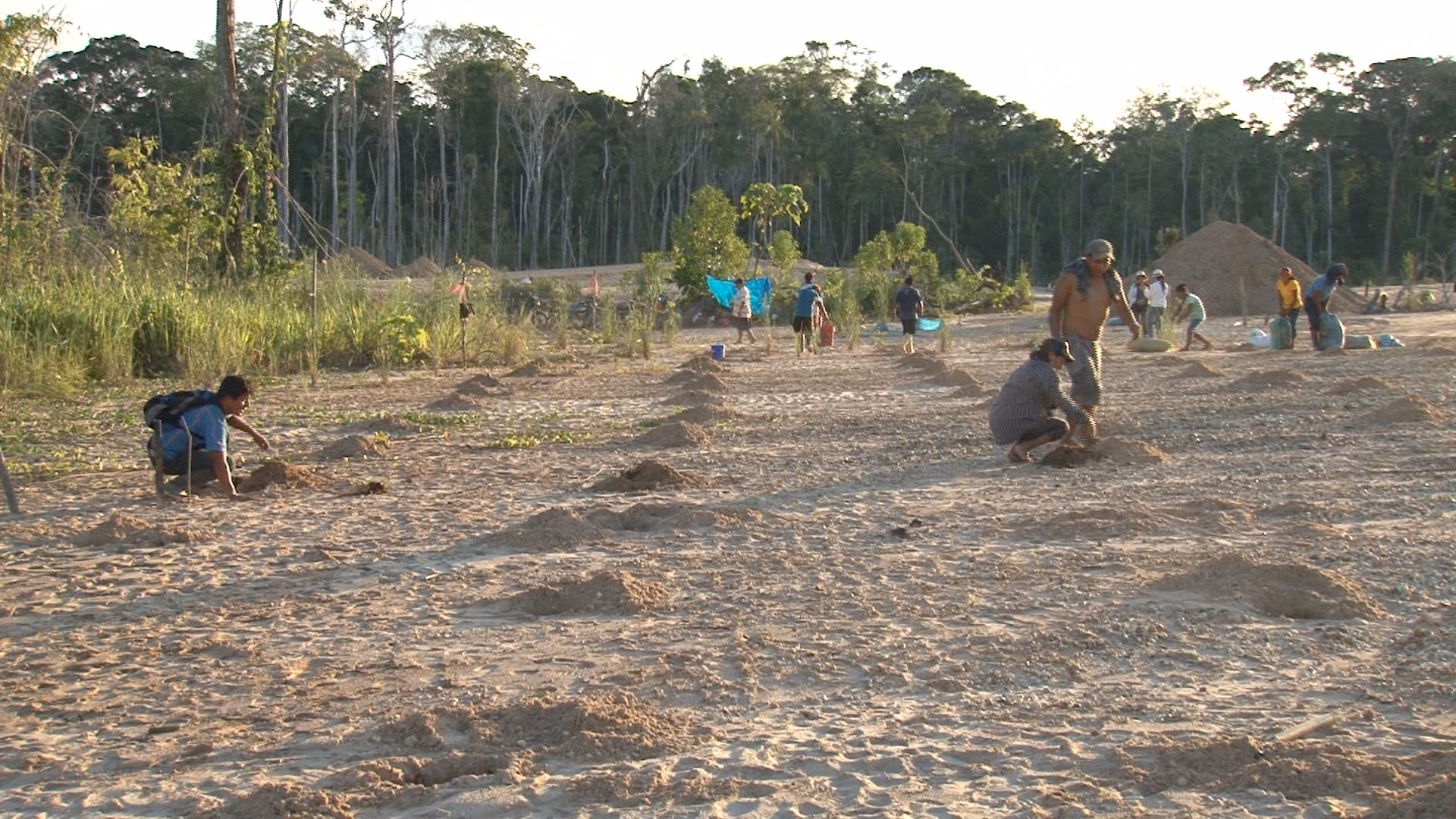 ¿Cómo restaurar el ecosistema afectado por la actividad minera?