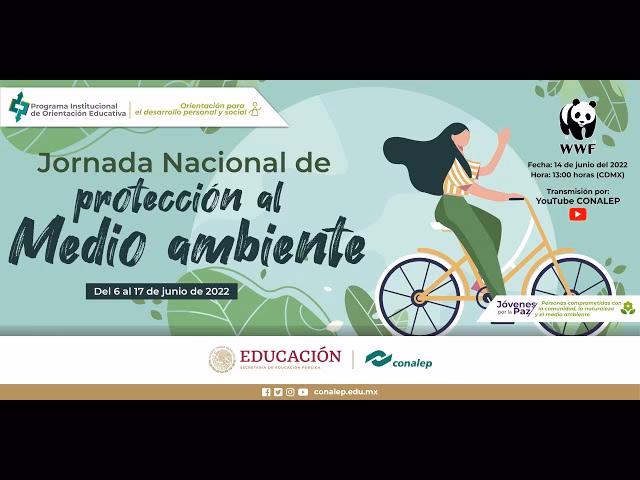 ¿Cómo ayuda Glenda a los jóvenes a construir la paz en sus comunidades?