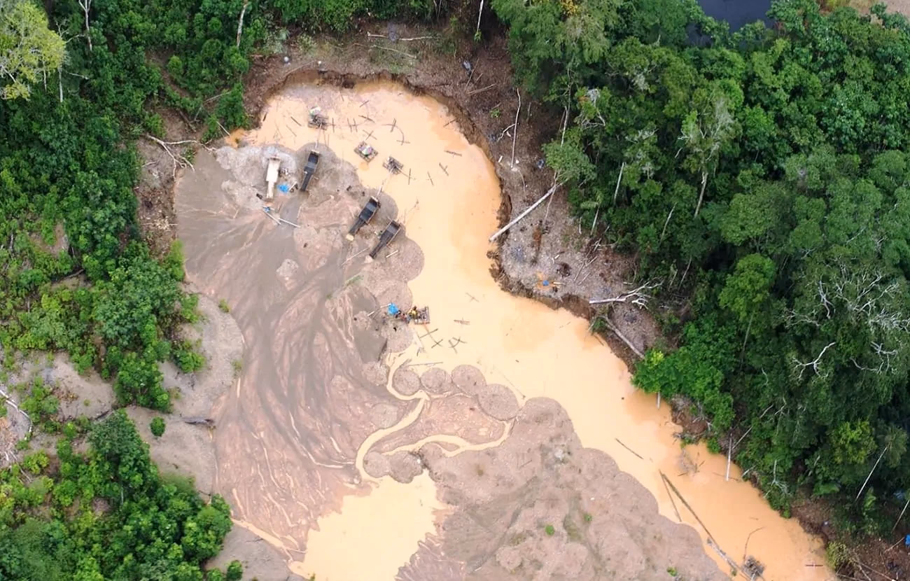 ¿Cómo ha afectado el ritmo de pérdida de bosques en los últimos años?