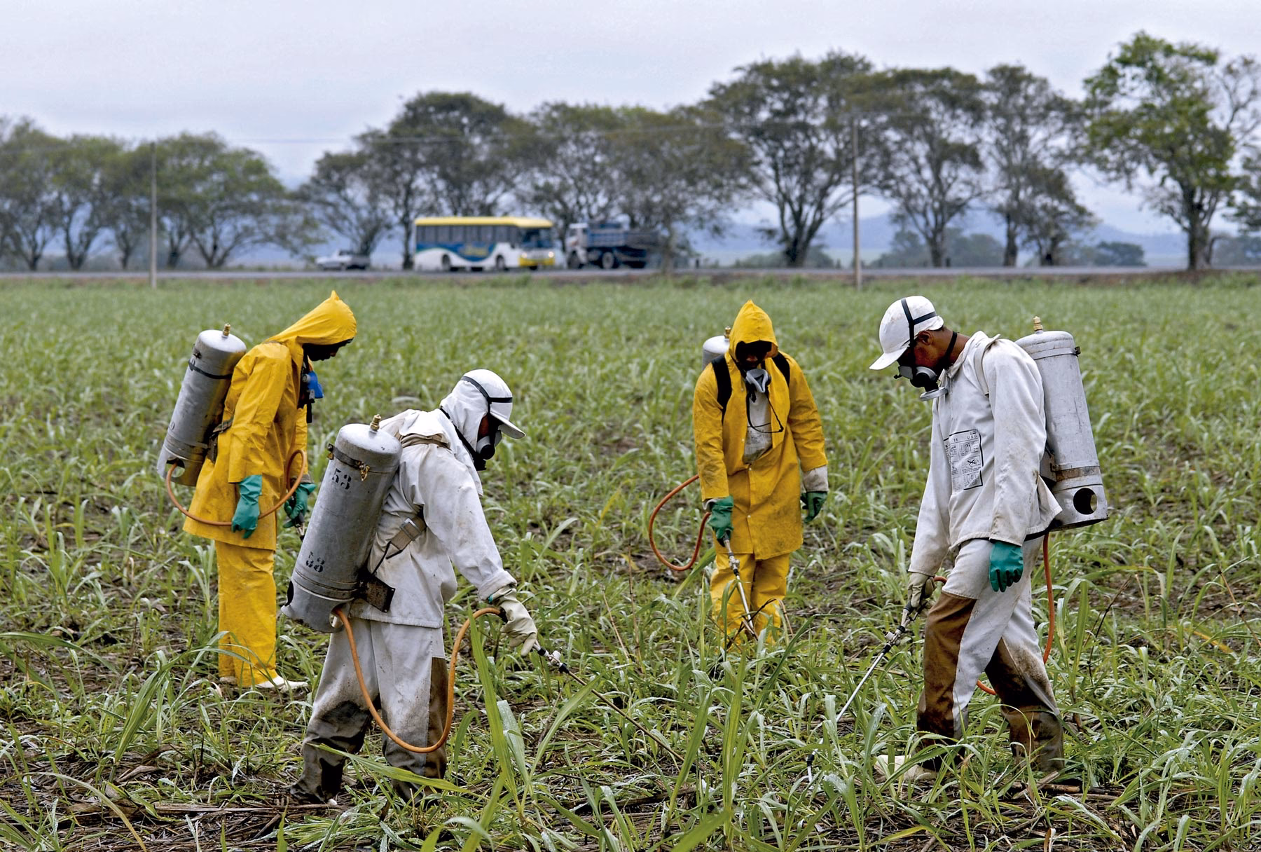 ¿Quién ejerce la competencia para el registro de agrotóxicos?