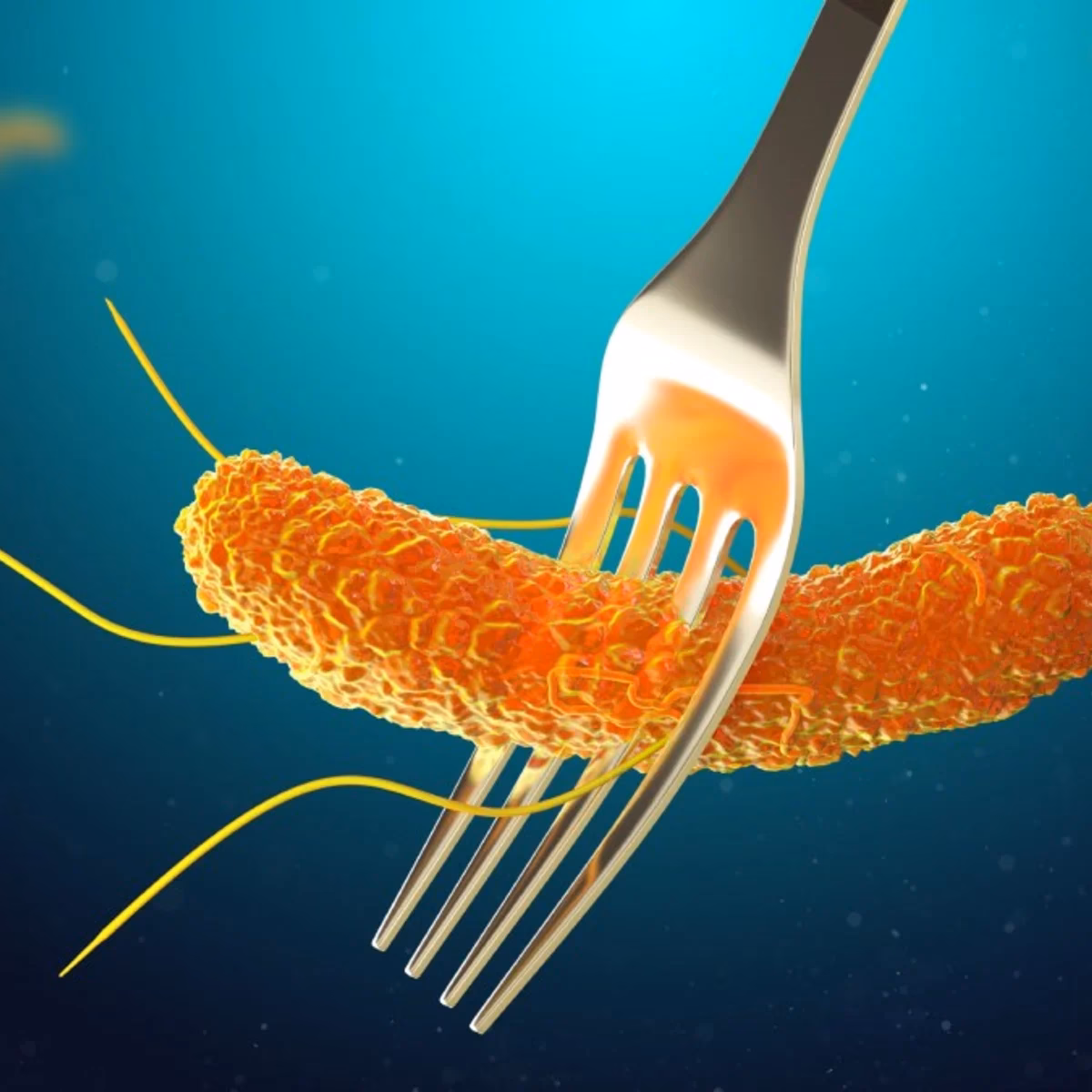 ¿Cuáles son los alimentos que se contaminan de Salmonella?