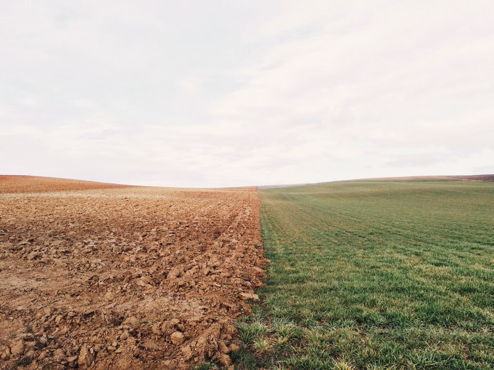 ¿Cómo afecta el maíz a la contaminación del aire?