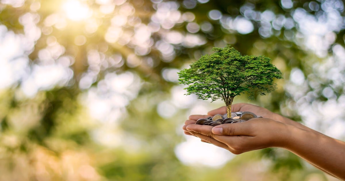 ¿Cuáles son los principios de la sostenibilidad ambiental?