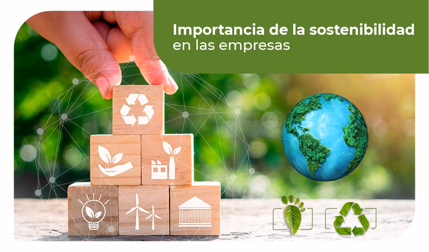 ¿Cuál es la importancia del desarrollo sostenible?