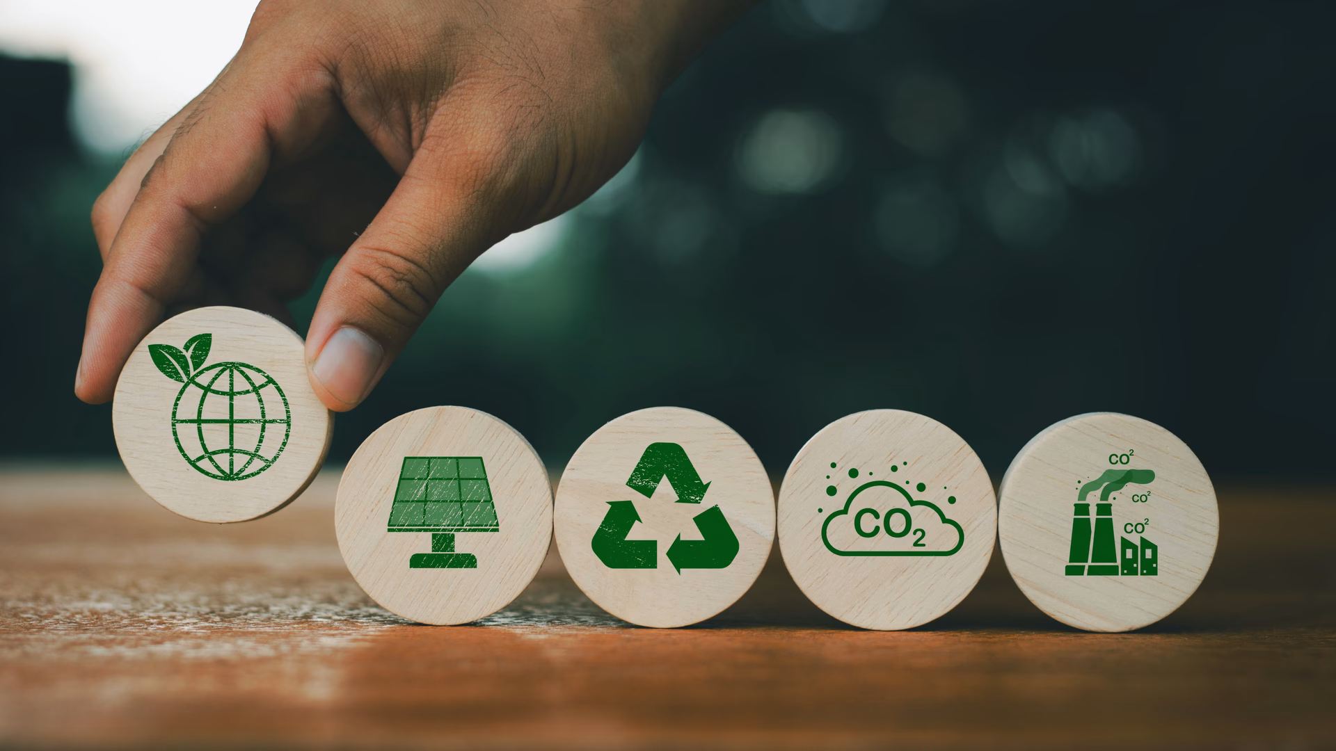 ¿Cuáles son las características de la sostenibilidad?