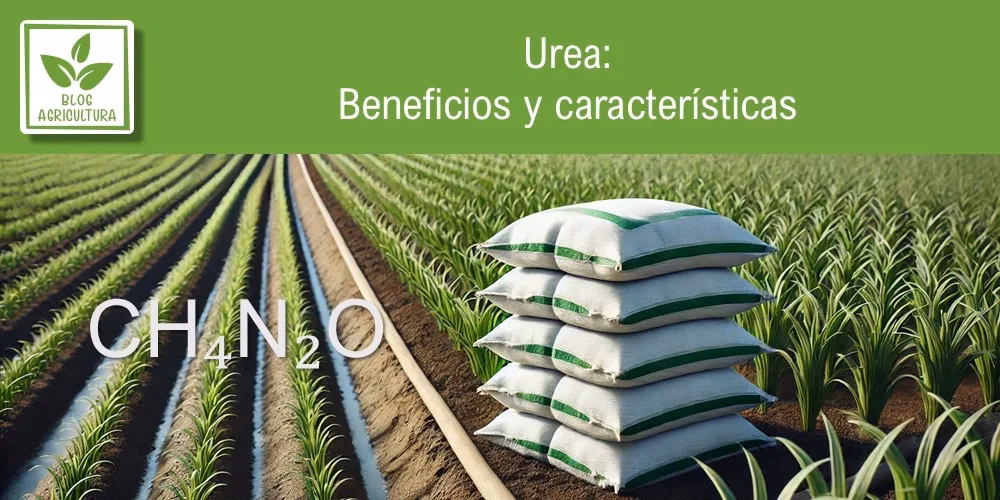 ¿Por qué es importante el manejo correcto de la urea?