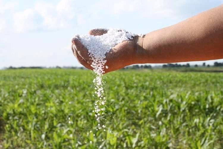 ¿Qué es la urea y para qué sirve?