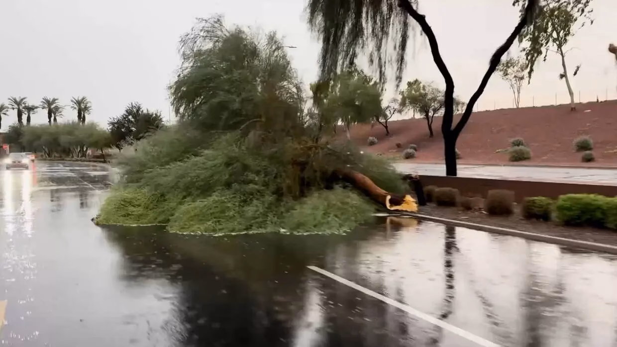 ¿Qué tipo de diario es la voz del Interior?