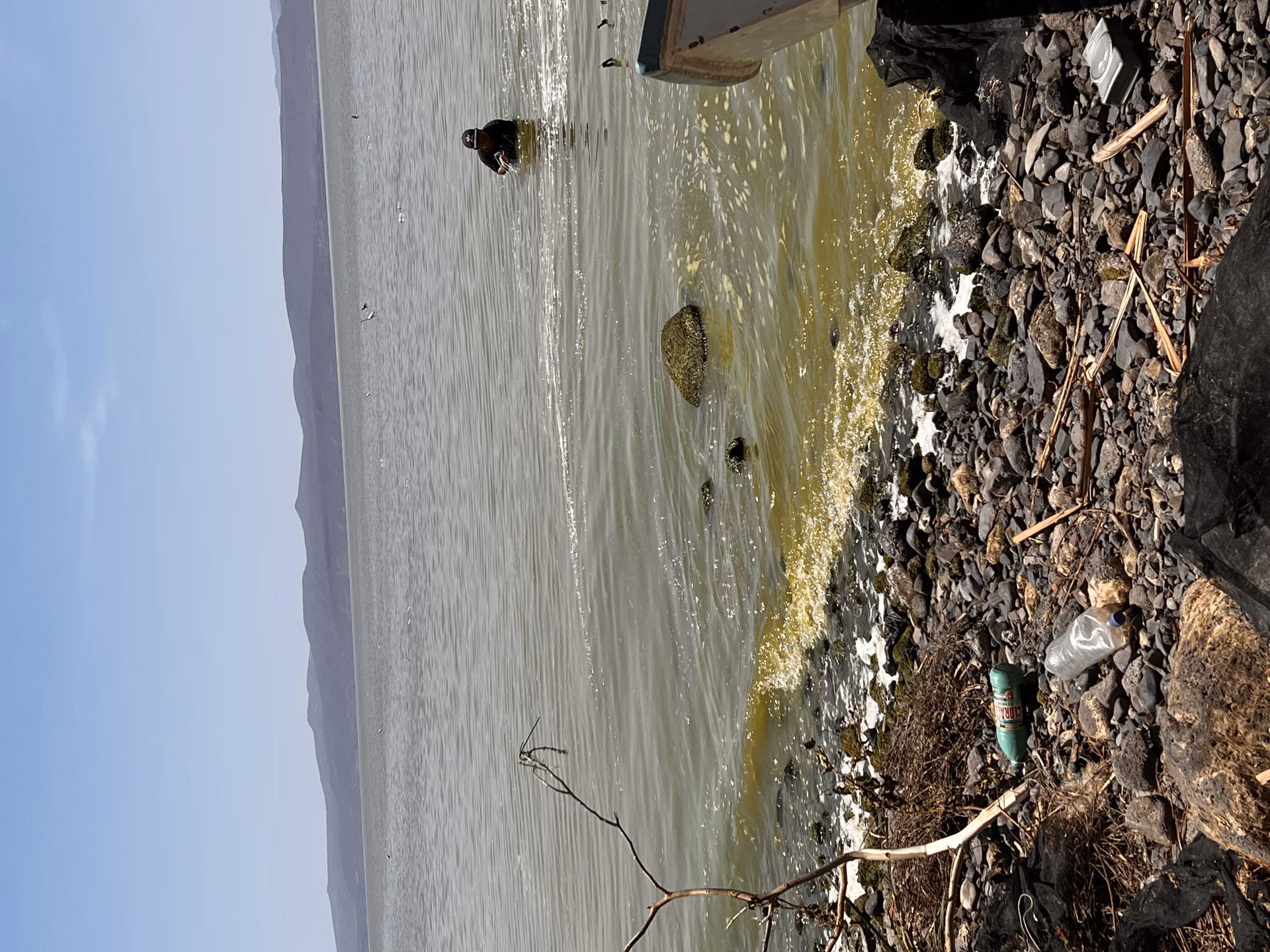 ¿Cuáles son los problemas de contaminación microbiológica del lago de Chapala?