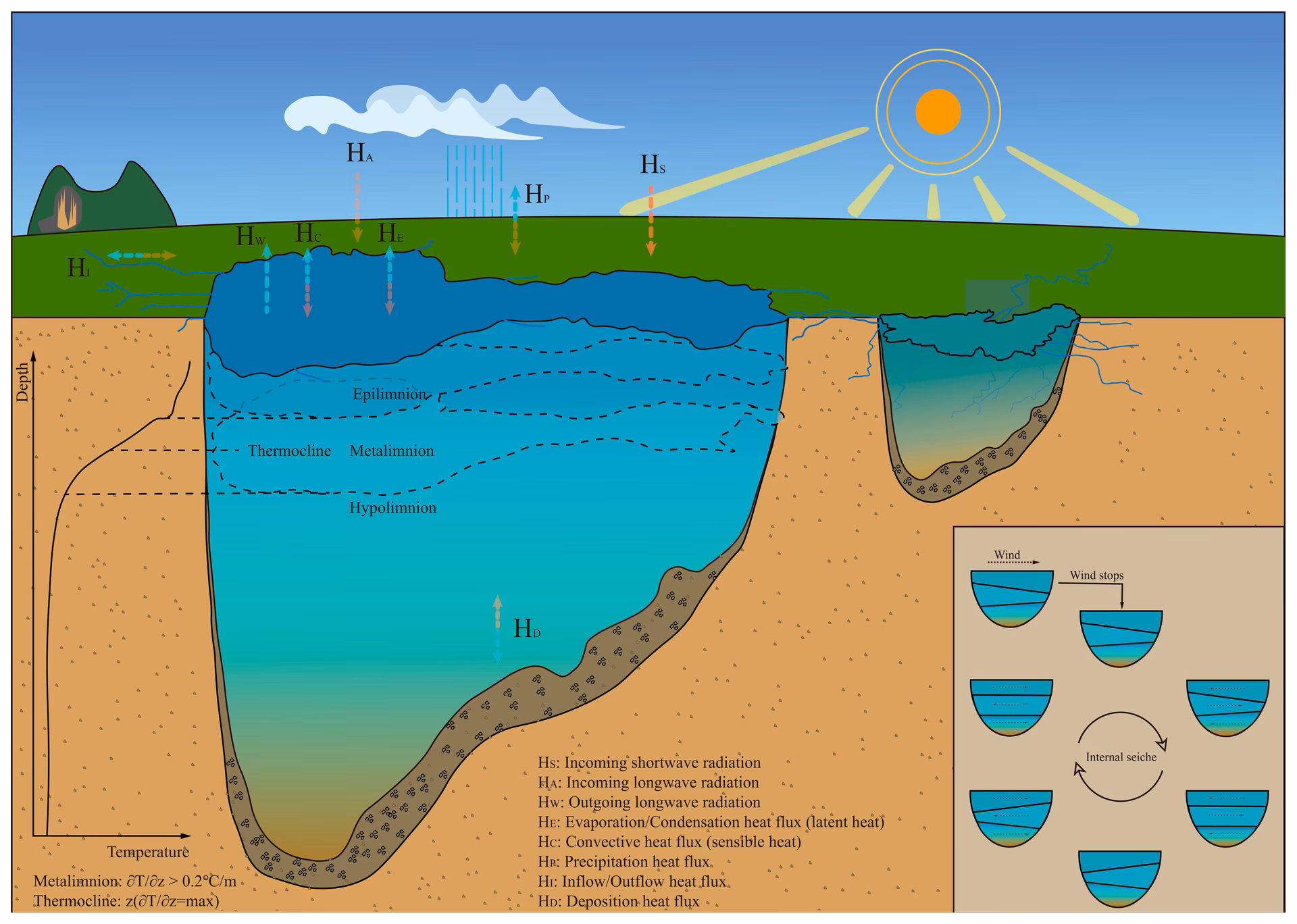 What does the one-dimensional lake model compute?