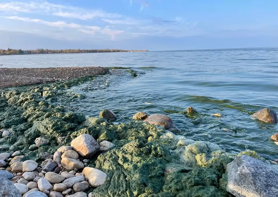 What contaminates Lake Winnipeg?