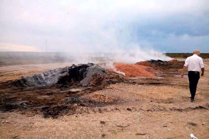 ¿Qué es el programa de certificación del cultivo de langostinos?