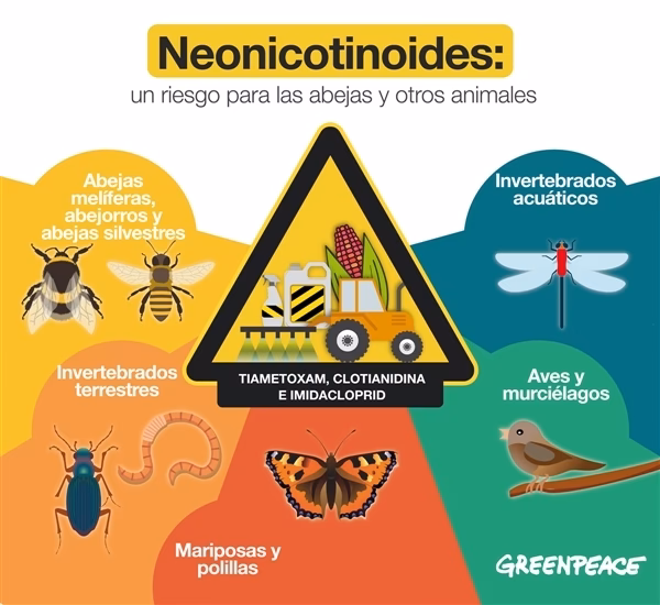 ¿Cómo afectan los pesticidas a las abejas?
