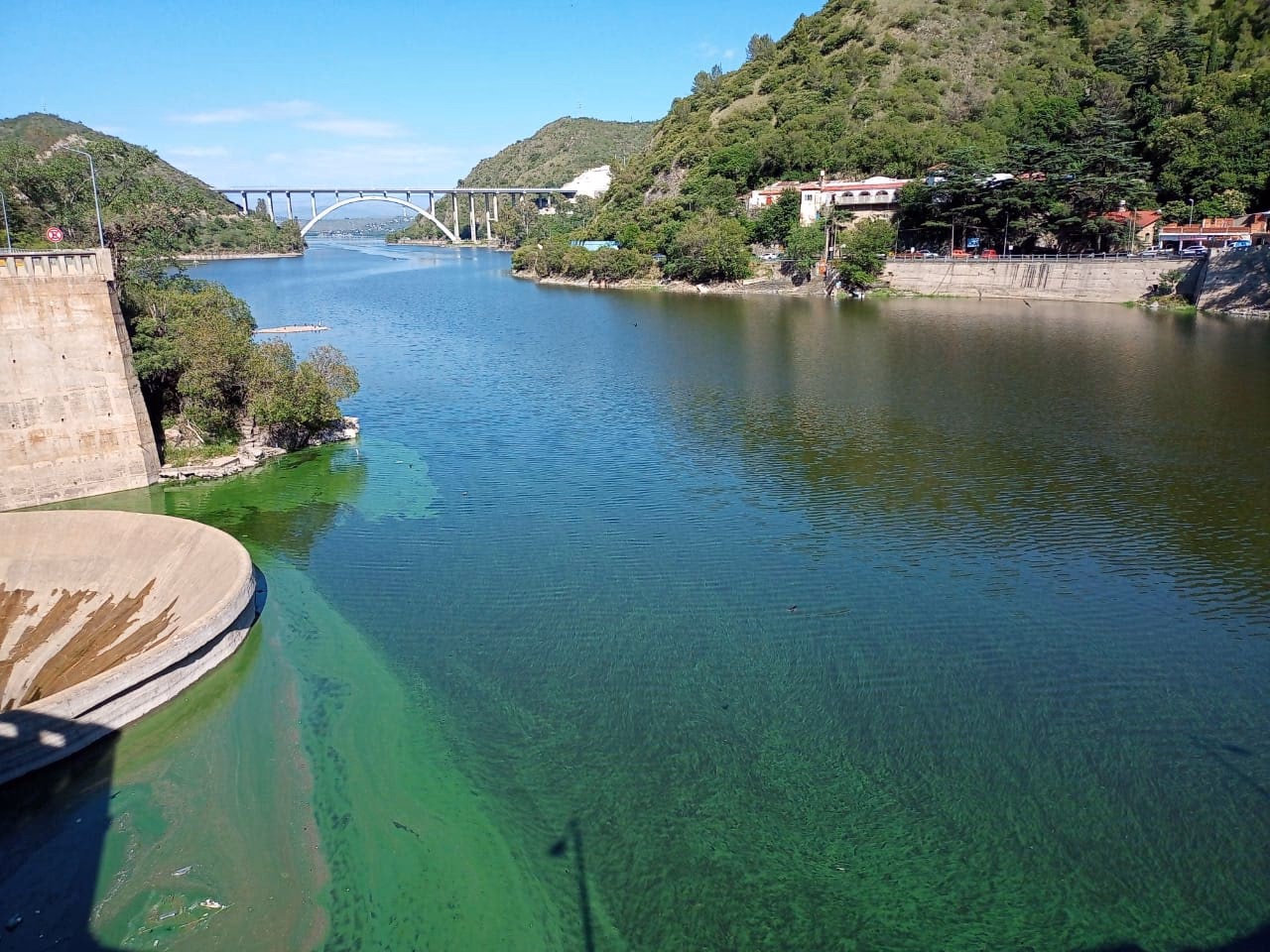 ¿Qué problemas de salud pueden generar las cianobacterias en el Embalse San Roque?