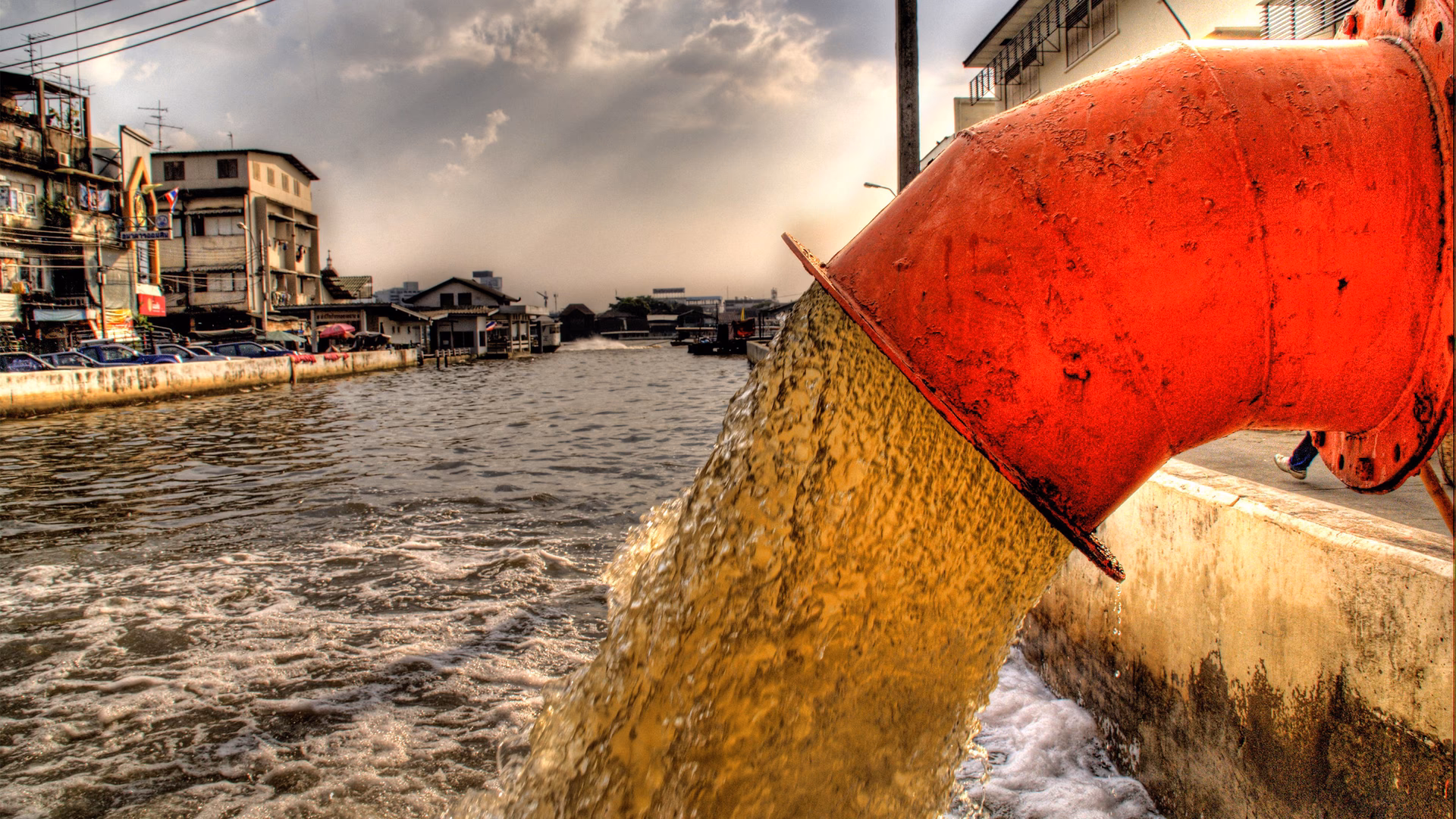 ¿Qué hacer en caso de aguas negras?