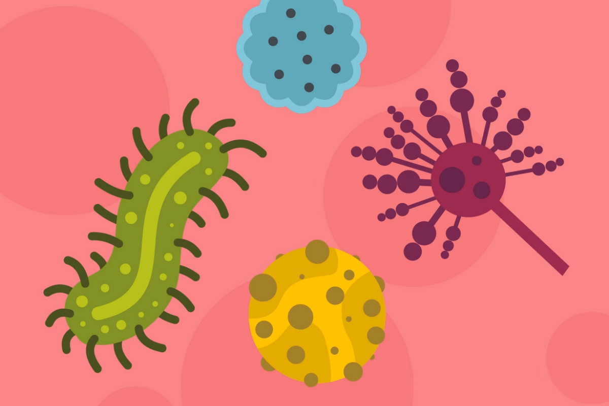 ¿Cuáles son los efectos de las bacterias patógenas en los alimentos?