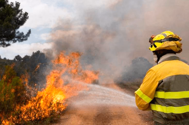 ¿Cómo afecta la ceniza al suelo?