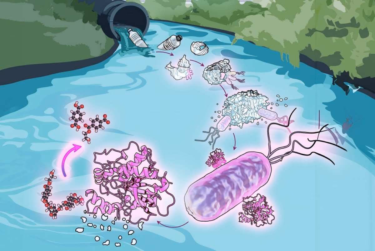 ¿Cómo se eliminan los contaminantes químicos del agua?