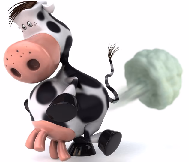 ¿Qué causa las flatulencias?