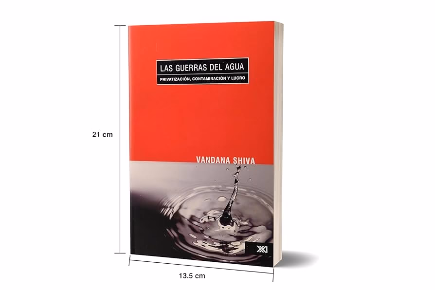 ¿Cuáles son las causas de la privatización del agua en Sudáfrica?