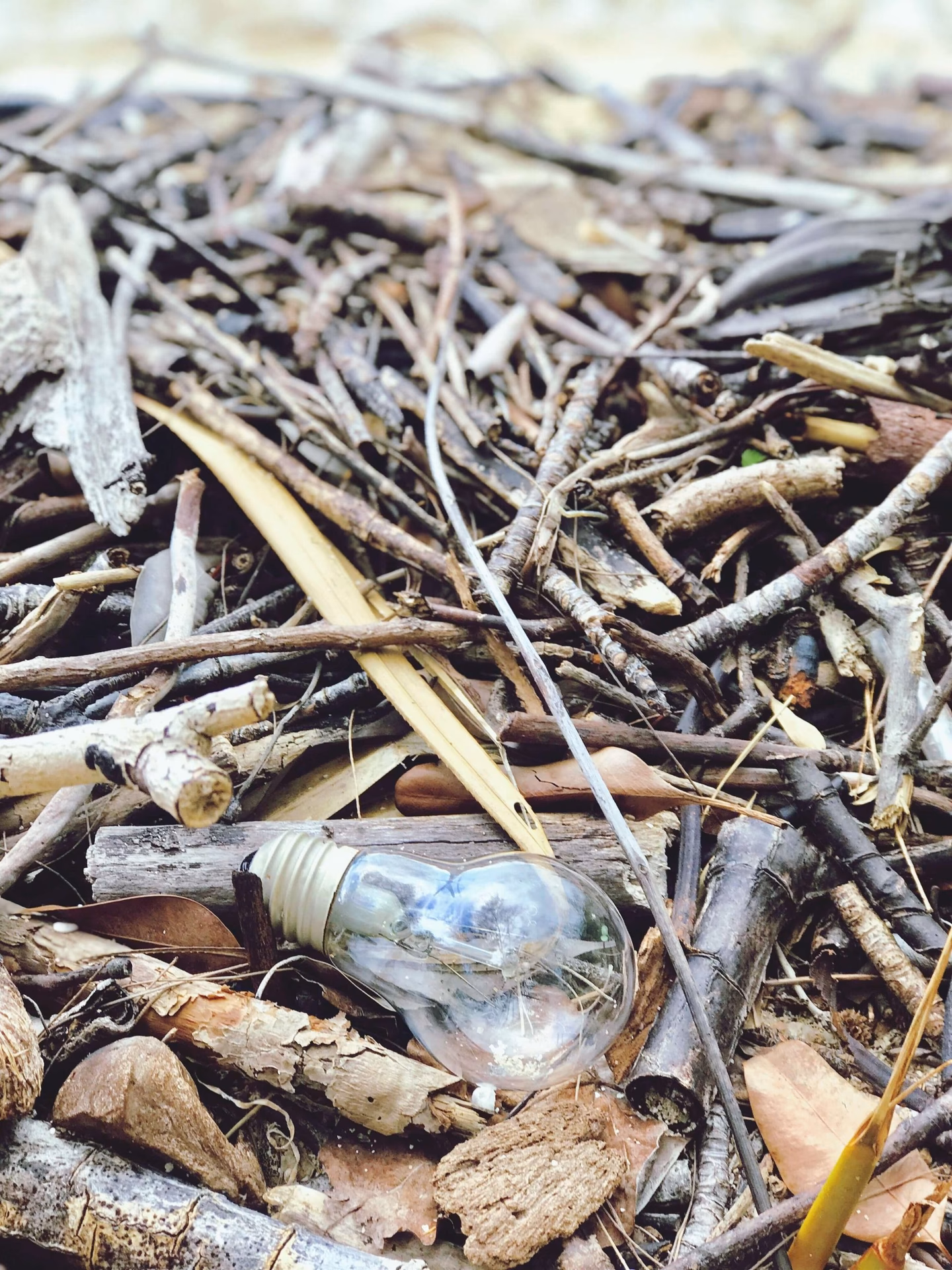 ¿Qué son las lámparas halogenas?