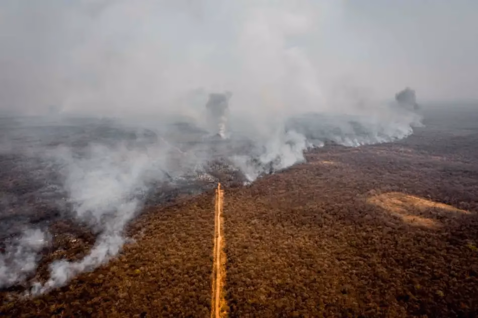 ¿Cuáles son los delitos de contaminación ambiental?