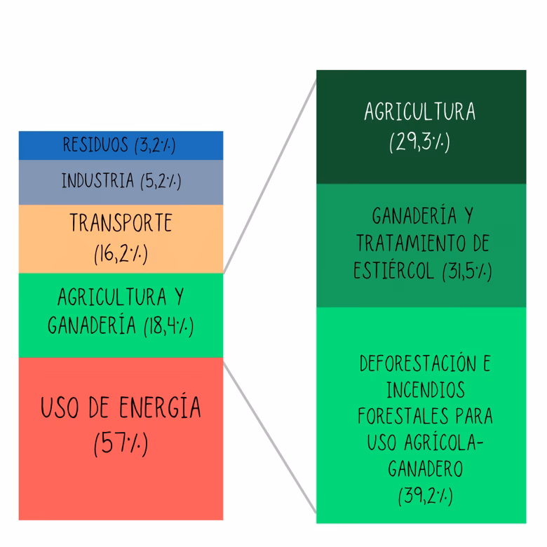 ¿Cuáles son las causas del cambio climático y del calentamiento global?