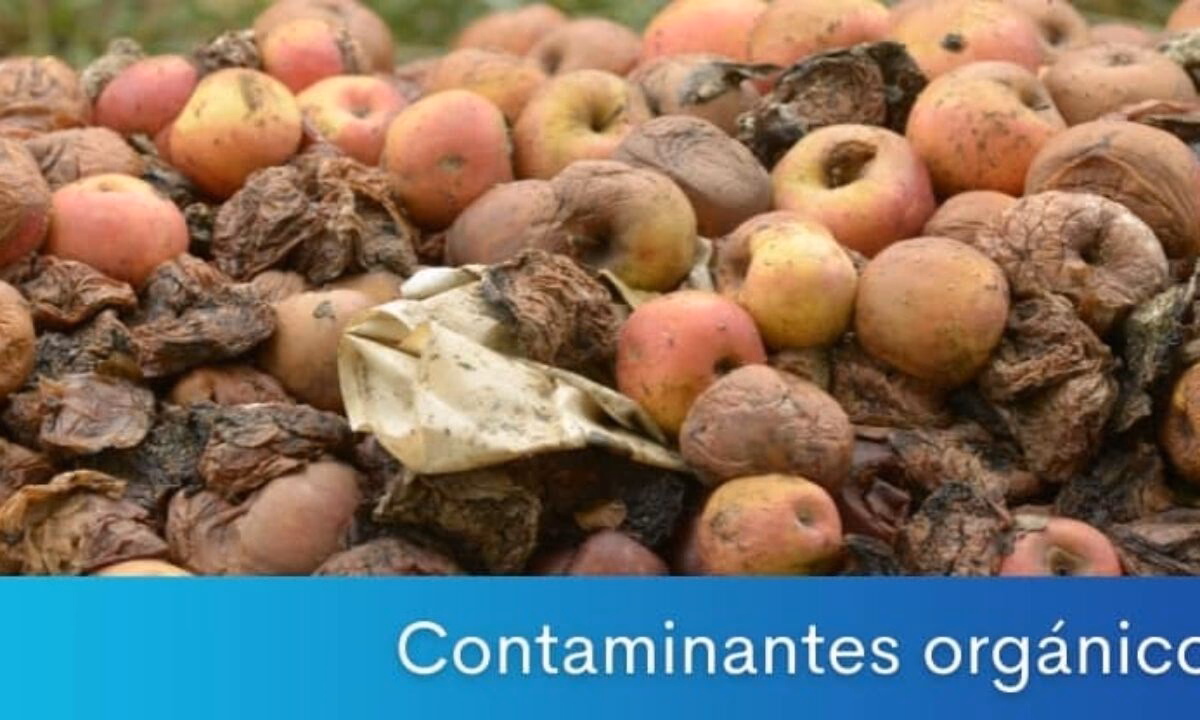 ¿Cómo se clasifican las sales oxisales?