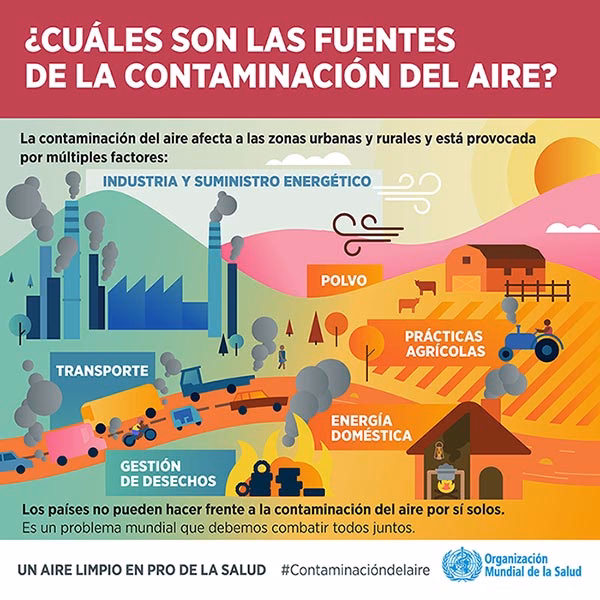 ¿Cómo combatir la contaminación del aire?